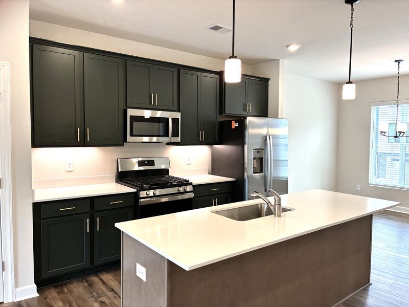 Furnished interior view inside a new home in Holly View, Greenville (Image 6).