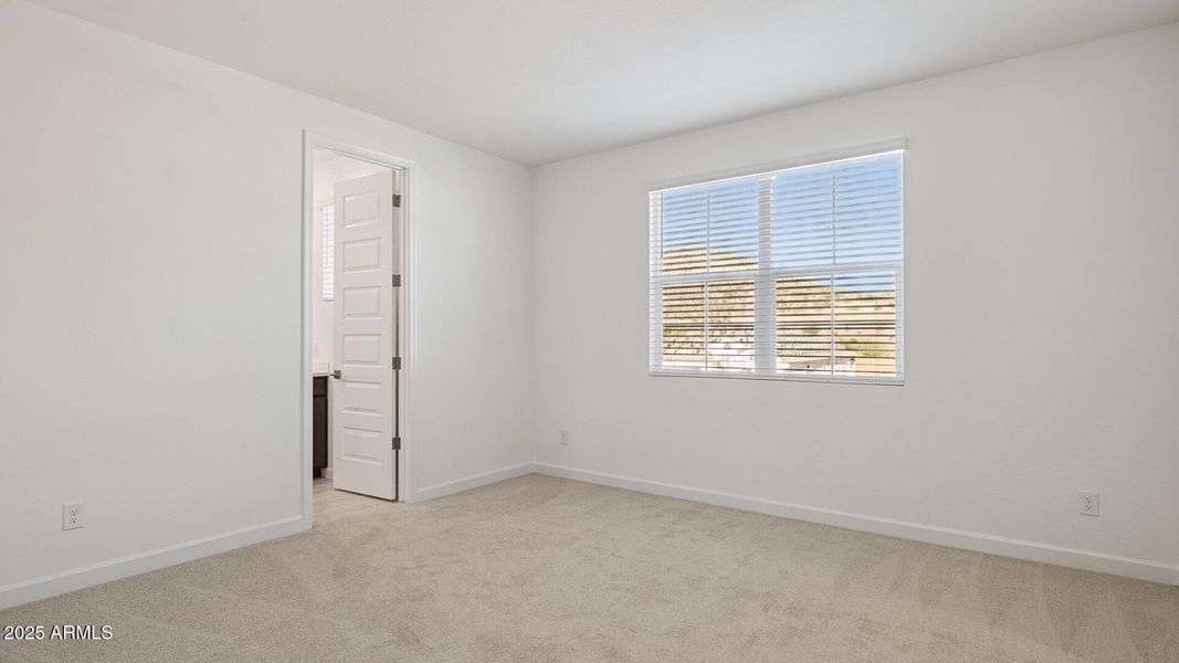 3985_Phoenician_Lot 2081_Aloravita_Peori 3985_Phoenician_Lot 2081_Aloravita_Peori