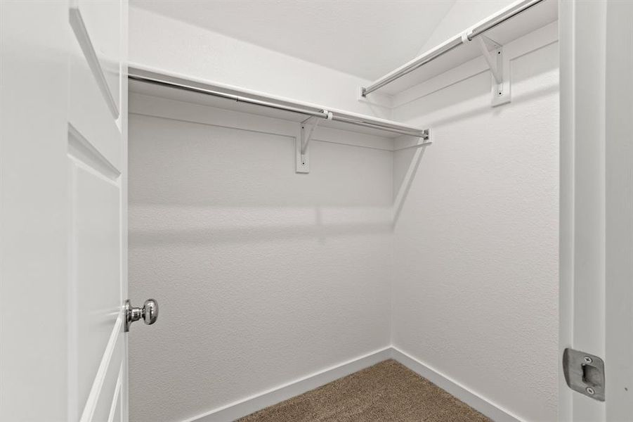 Spacious closet featuring carpet