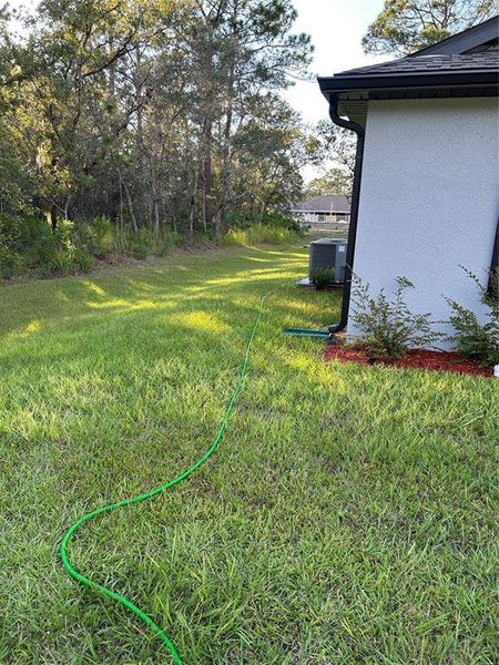 Left side yard Left side yard