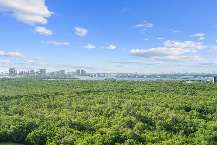 Natural landscape and outdoor views near One Park Tower in Miami (Image 62).