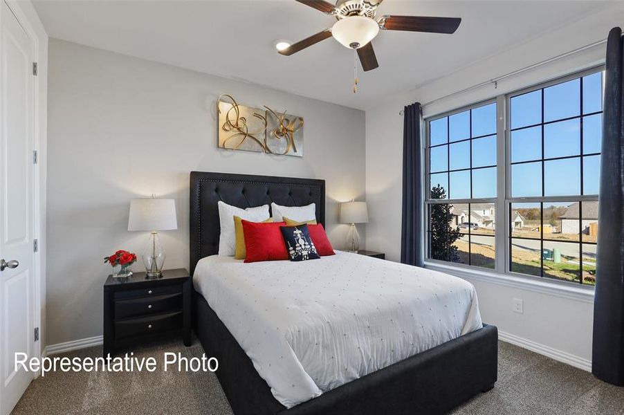 Bedroom featuring a ceiling fan with integrated lighting, two large windows with grid patterns, and neutral-toned carpeting