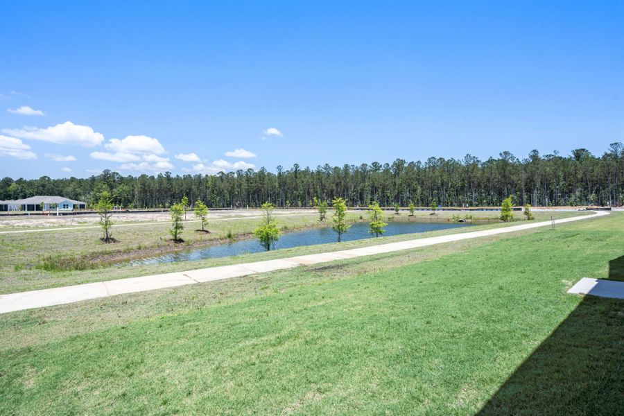 Natural landscape and outdoor views near Sun City Hilton Head in Bluffton (Image 36). Natural landscape and outdoor views near Sun City Hilton Head in Bluffton (Image 36).