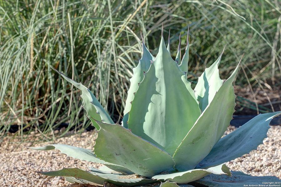 Image 13 of a home in Veramendi 60'. Image 13 of a home in Veramendi 60'.