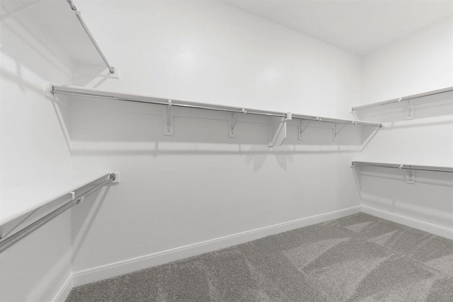 18_19. 629 Bunchberry - Closet 18_19. 629 Bunchberry - Closet