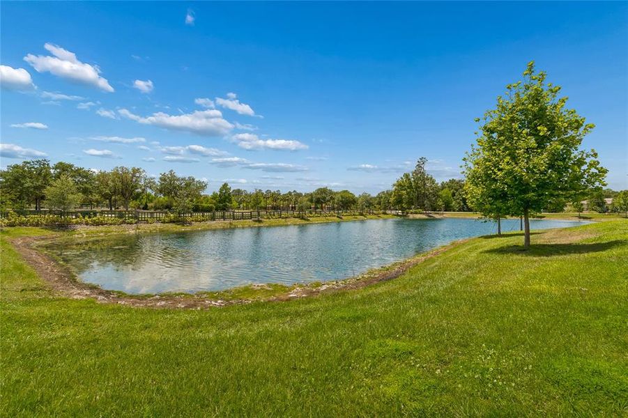 Natural landscape and outdoor views near Pearl Estates in Lutz (Image 45).