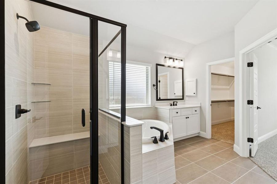 9-4221Equine_009 9-4221Equine_009