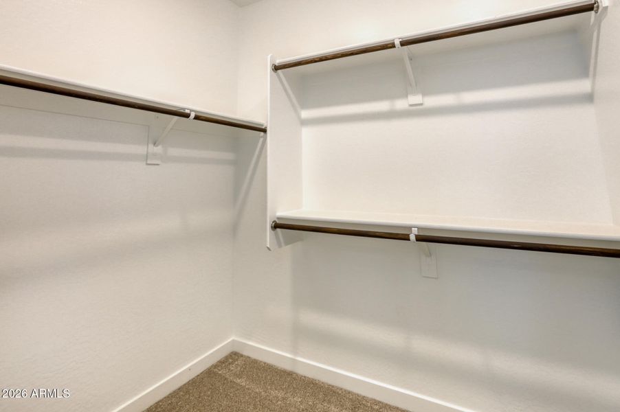 Owners Walk in Closet