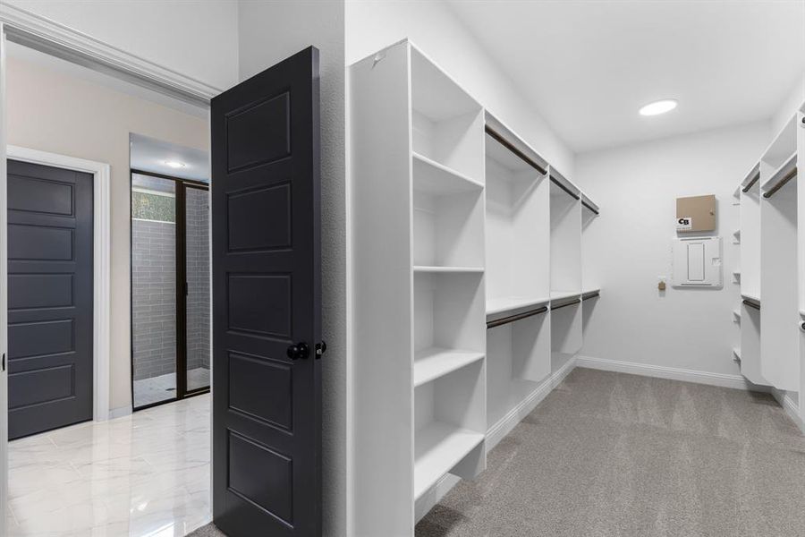 Walk in closet with light carpet