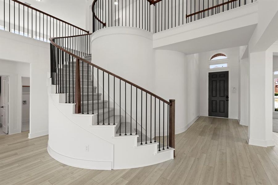 2_03. 953 Gold Finch - Entry