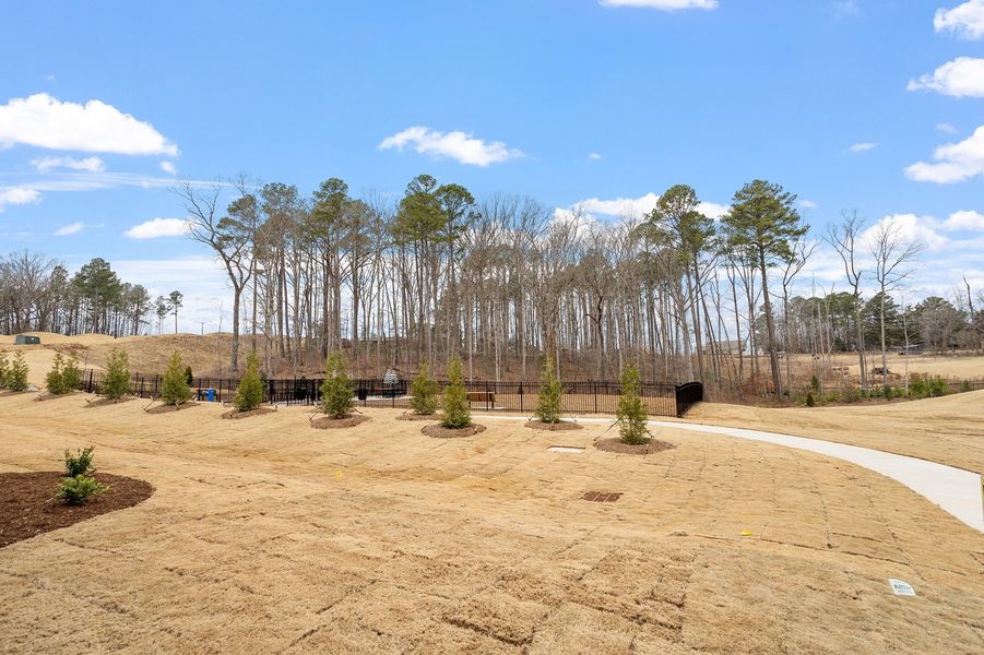 Image 32 of a home in Ovation at Sweetbrier. Image 32 of a home in Ovation at Sweetbrier.