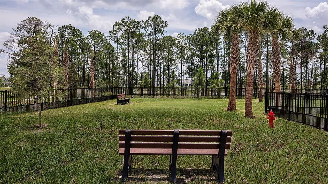 Community amenities in Harvest at Ovation, Winter Garden (Image 49).