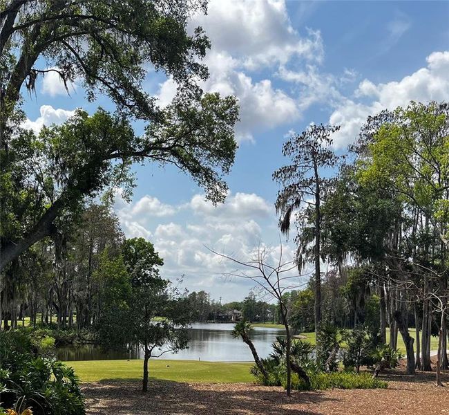 Natural landscape and outdoor views near  in Lutz (Image 10).