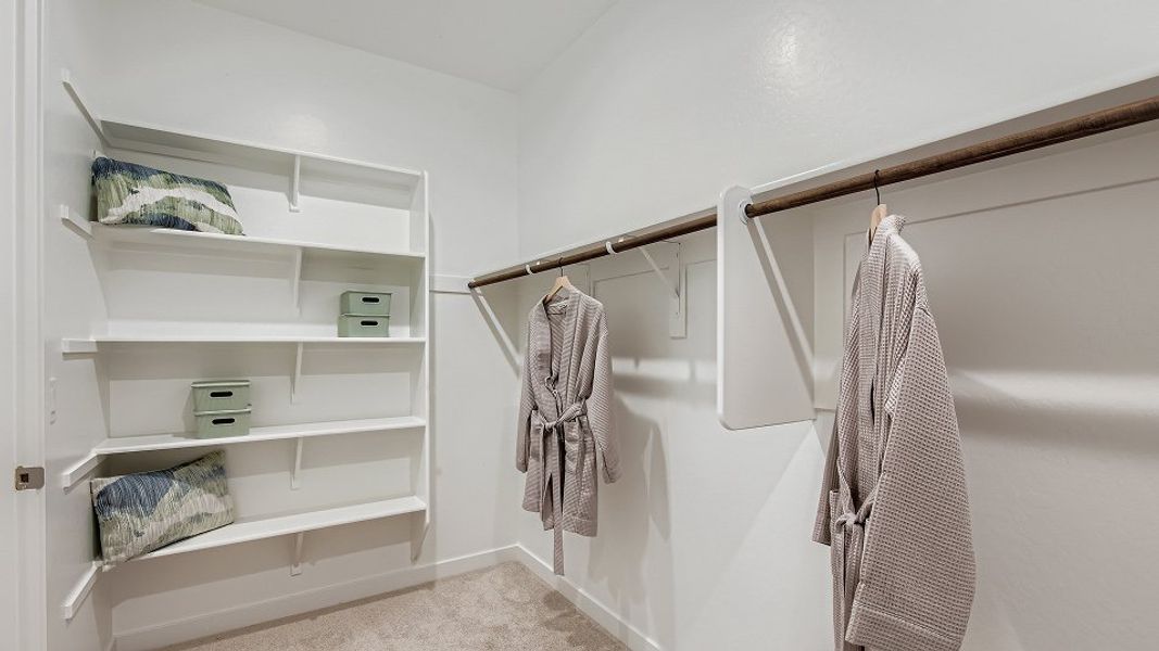 4083 Revoluton Owners WIC F1 Base2