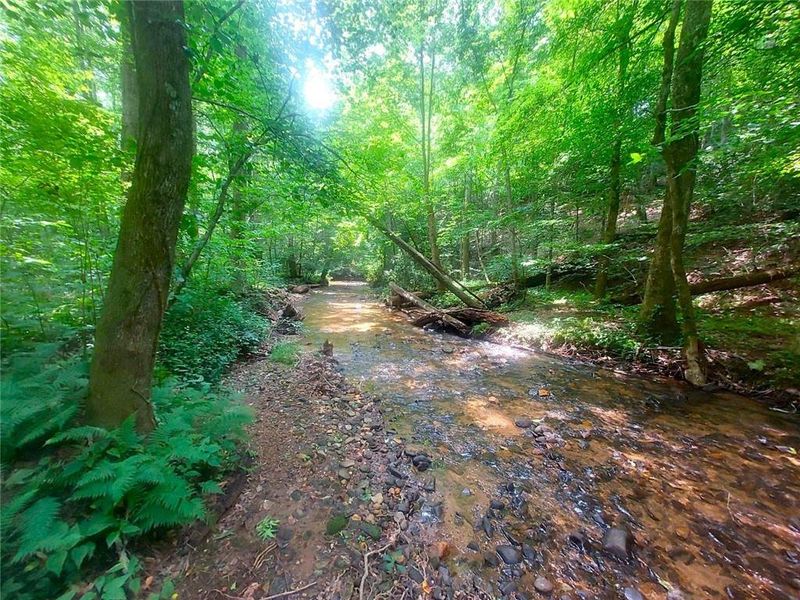 Natural landscape and outdoor views near  in Jasper (Image 25).
