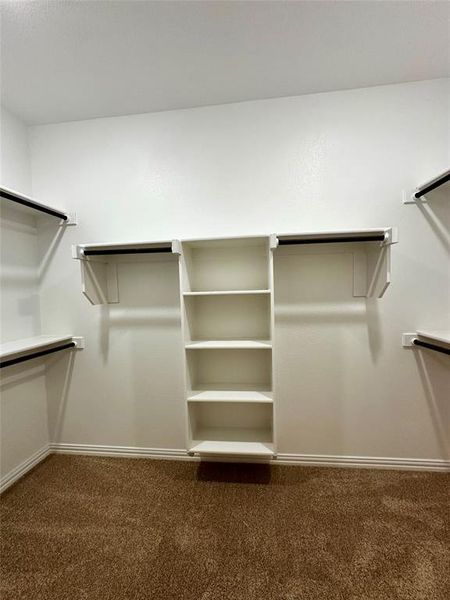 Spacious closet featuring carpet