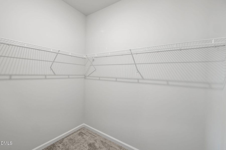 58-web-or-mls-P1119386