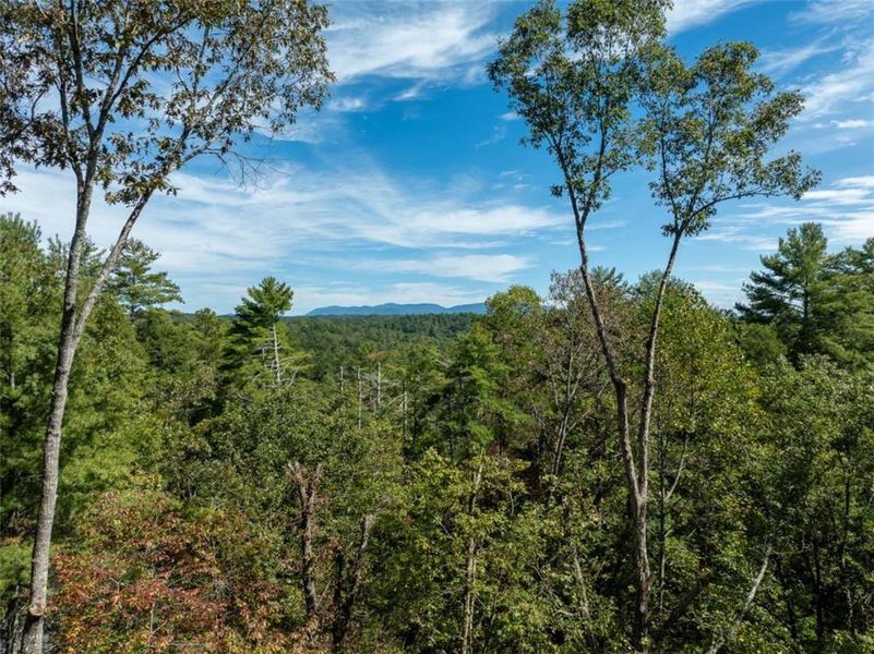 Natural landscape and outdoor views near  in Ellijay (Image 57).