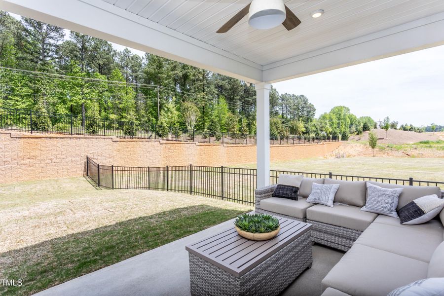 Contour023 Contour023