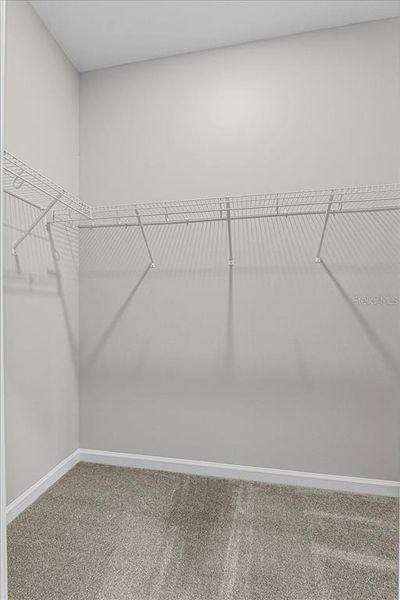 Spacious, unfurnished interior of a new home in , Mulberry (Image 28).