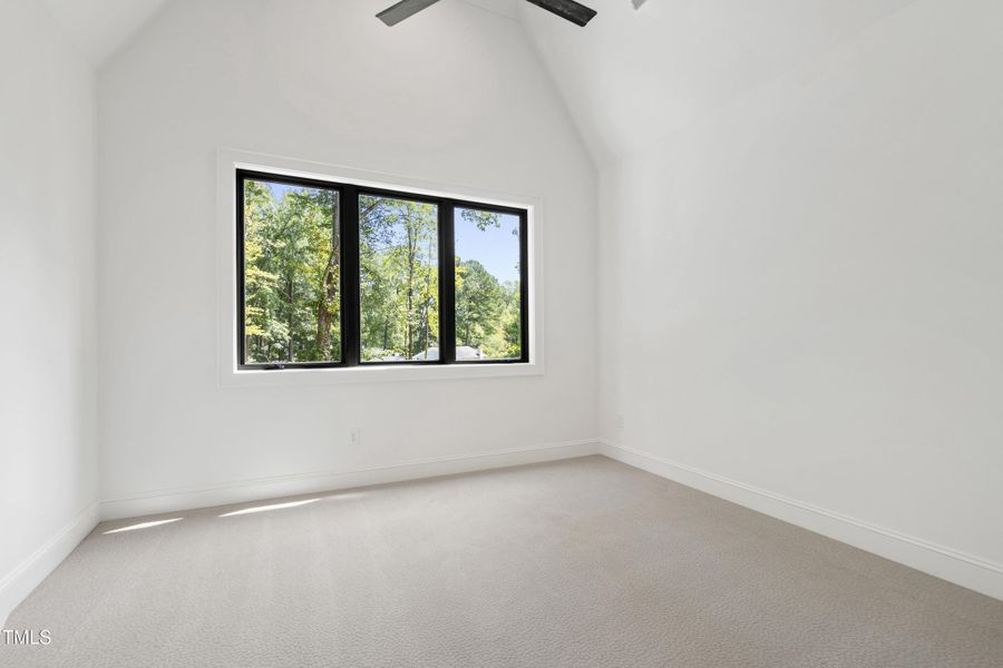 Tanbark (59) Tanbark (59)