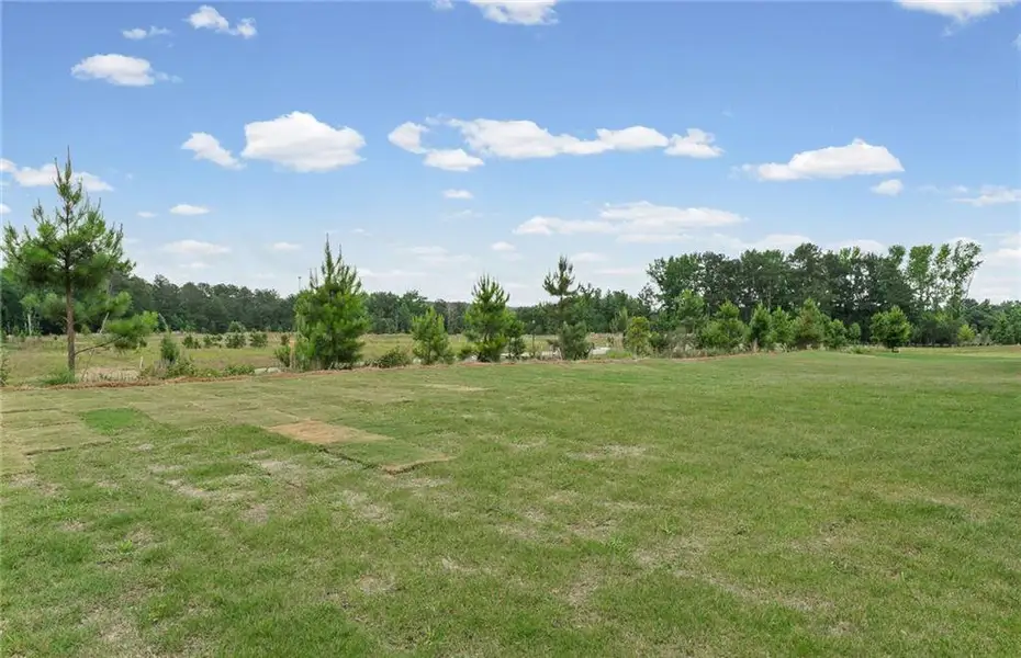 Natural landscape and outdoor views near Overland in Locust Grove (Image 33). Natural landscape and outdoor views near Overland in Locust Grove (Image 33).