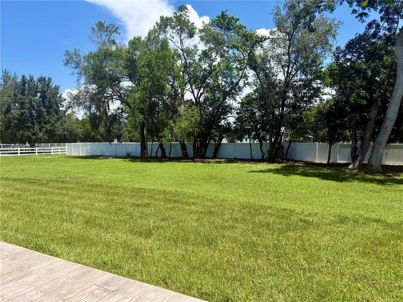 Natural landscape and outdoor views near  in New Port Richey (Image 46).