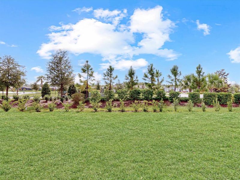 Natural landscape and outdoor views near Del Webb Sunbridge in St. Cloud (Image 59).