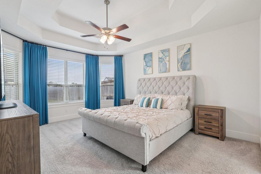 Primary Bedroom - Tray Ceiling, Custom black out drapes.