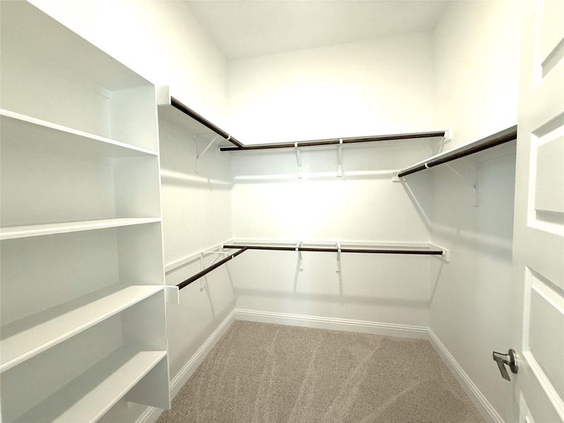 Walk in closet featuring light carpet