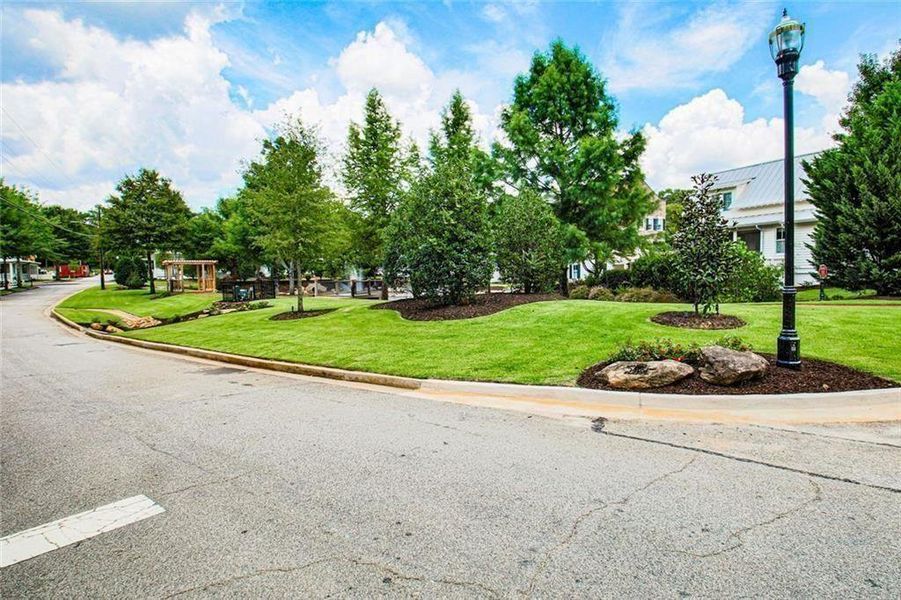 Natural landscape and outdoor views near  in Senoia (Image 34).