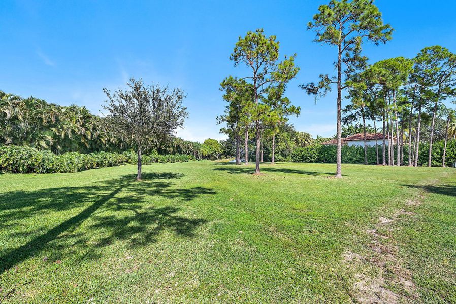 Natural landscape and outdoor views near  in West Palm Beach (Image 52).