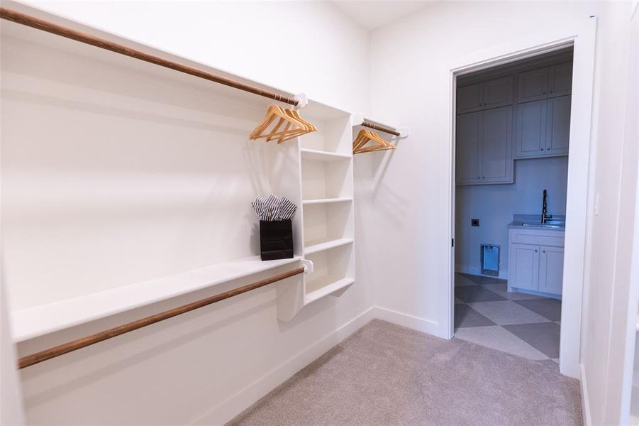 Walk-in closet featuring built-in shelving, wood-finish hanging rods, and plush carpeting
