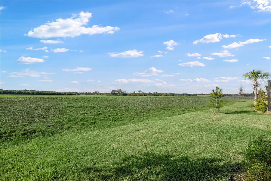 Natural landscape and outdoor views near Rye Ranch in Parrish (Image 32). Natural landscape and outdoor views near Rye Ranch in Parrish (Image 32).