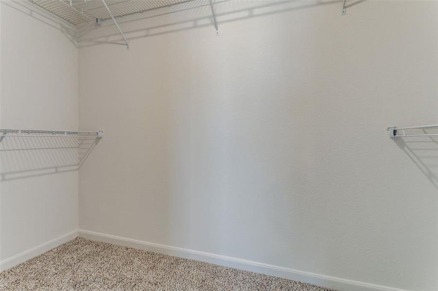 Spacious closet with carpet