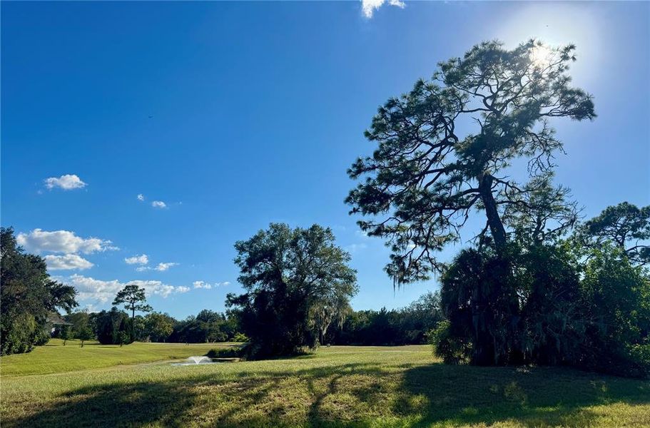 Natural landscape and outdoor views near in Tarpon Springs (Image 20). Natural landscape and outdoor views near in Tarpon Springs (Image 20).