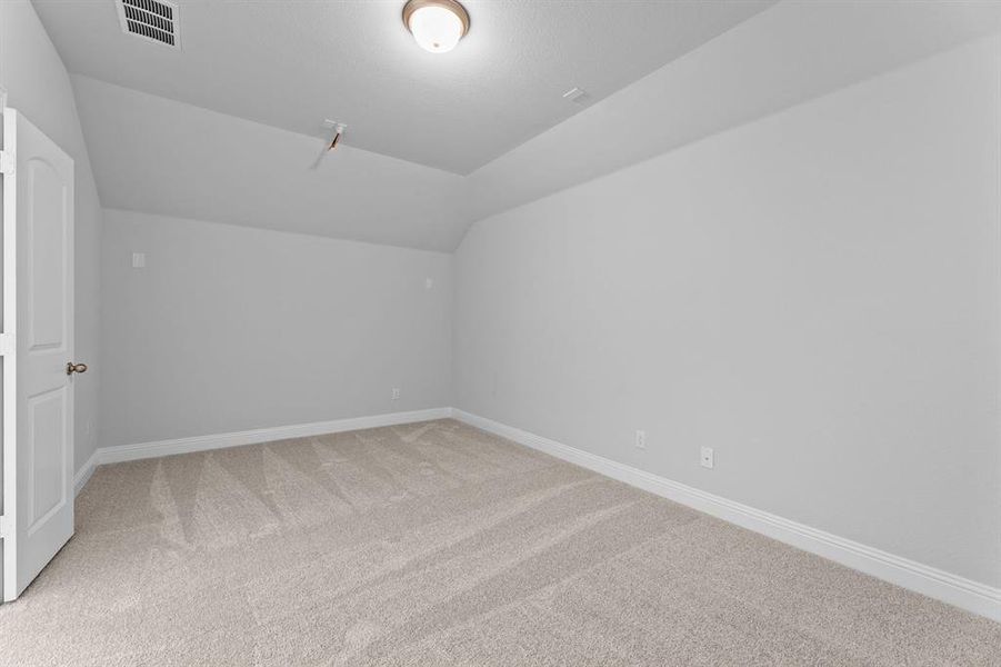 DAL_Painted Tree_Haskell II_4005 Gervais Drive (28)