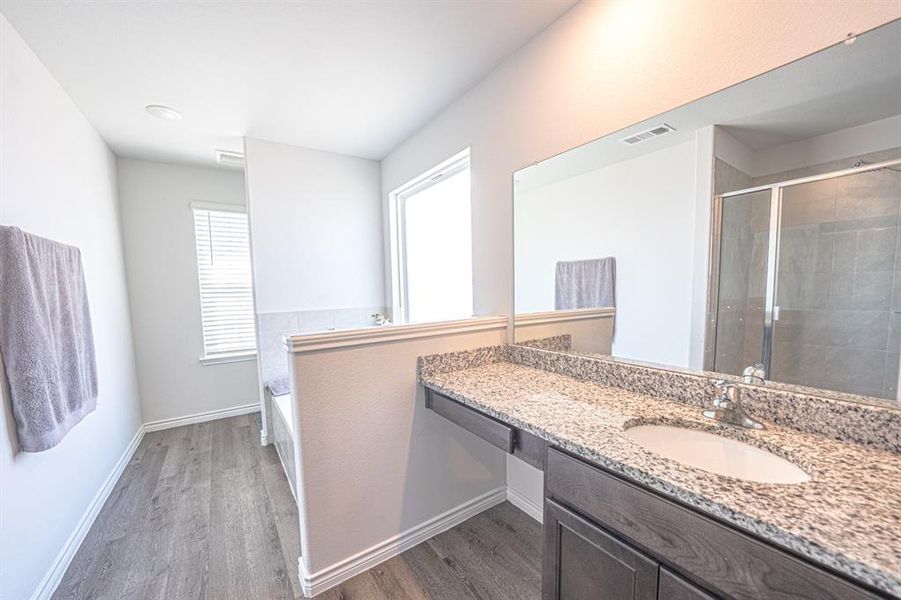 Bathroom with a stall shower, vanity, a garden tub, dark wood finished floors, and plenty of natural light