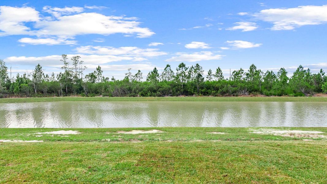 Natural landscape and outdoor views near Liberty in Panama City (Image 33).