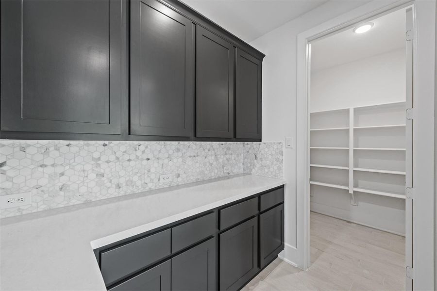 REPRESENTATIVE PHOTO