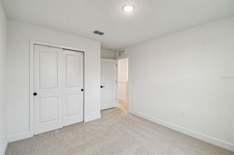 Spacious, unfurnished interior of a new home in Aspire at Canter Creek, Davenport (Image 28).