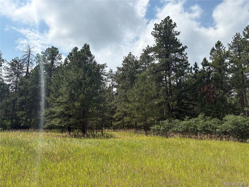 Image 4 of a home in .