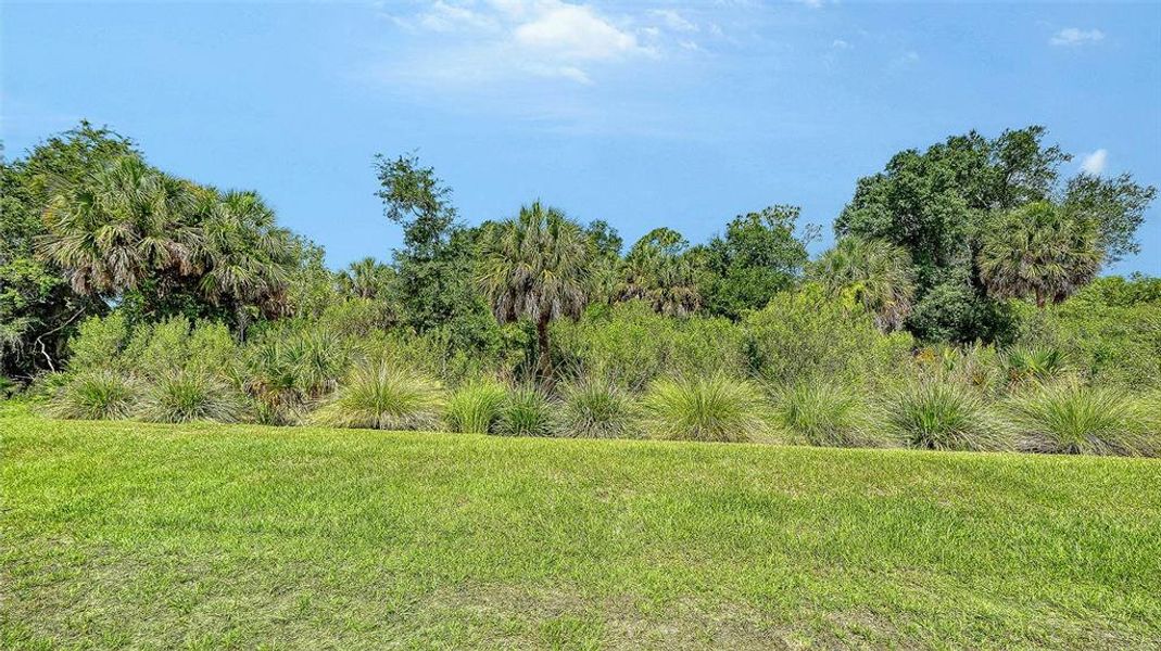Natural landscape and outdoor views near Grand Park in Sarasota (Image 46).