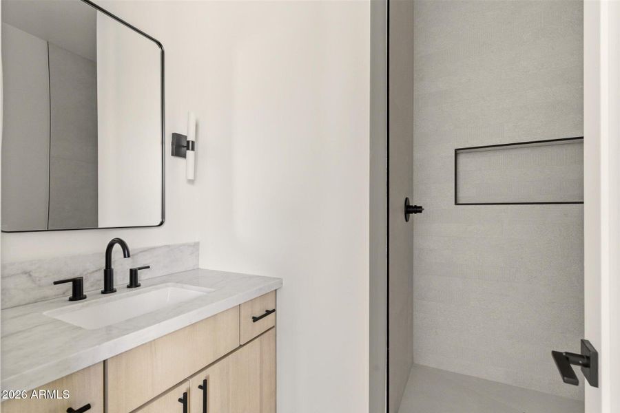 Quartz Counters & Walk-In Shower Quartz Counters & Walk-In Shower