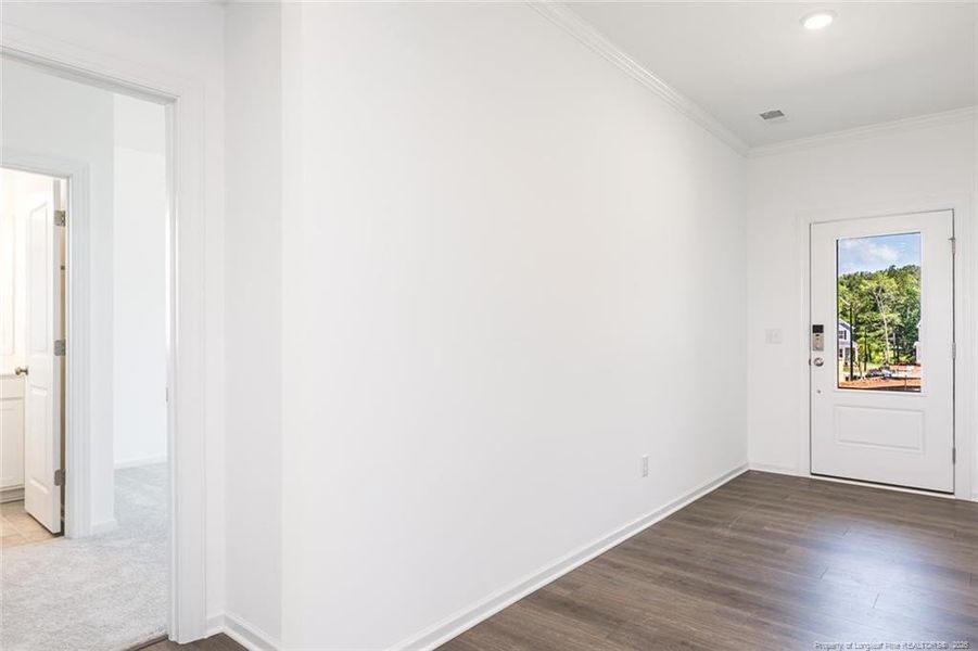 Representative Photo