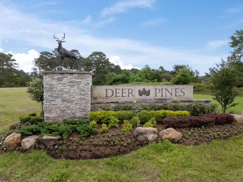 Entrance to the Deer Pines community in Conroe, TX, featuring signage and landscaping (Image 1). Entrance to the Deer Pines community in Conroe, TX, featuring signage and landscaping (Image 1).