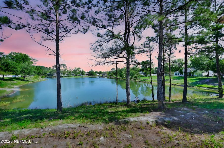 Natural landscape and outdoor views near  in Middleburg (Image 76).