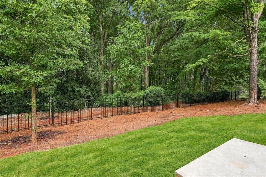 Natural landscape and outdoor views near  in Alpharetta (Image 32).