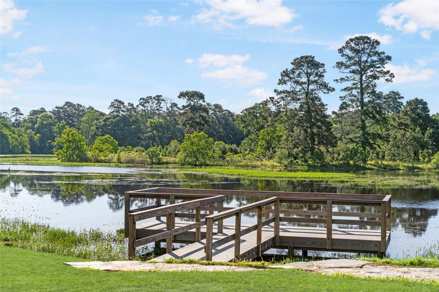Natural landscape and outdoor views near Escondido - Retreat Collection in Magnolia (Image 29).