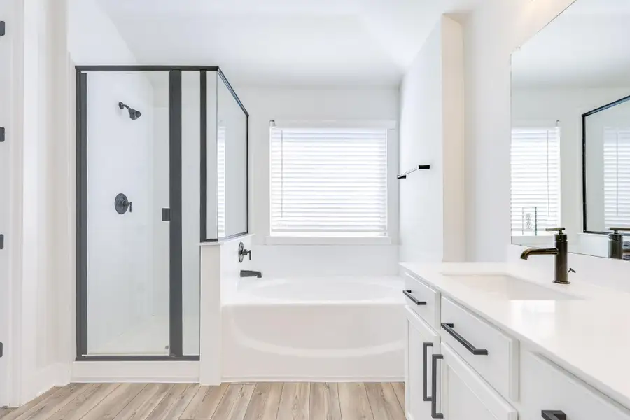 Bathroom featuring vanity, a garden tub, light wood-type flooring, a shower stall, and plenty of natural light